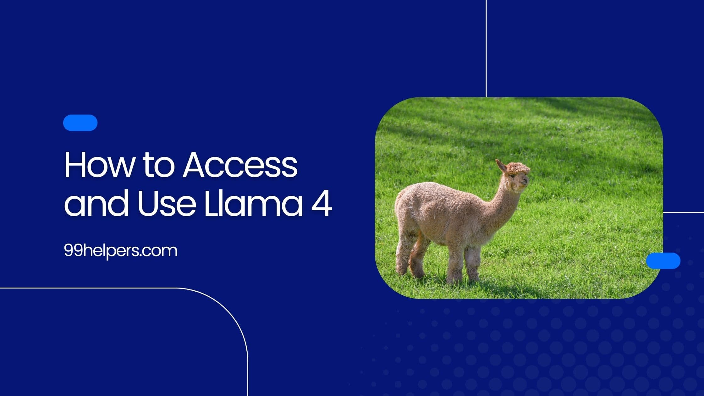 How to Access and Use Llama 4